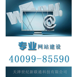 php網(wǎng)站開(kāi)發(fā),霸州市網(wǎng)站開(kāi)發(fā),世紀(jì)新聯(lián)通