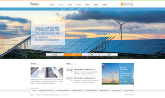 天津網(wǎng)站開發(fā) 能源化工官網(wǎng)